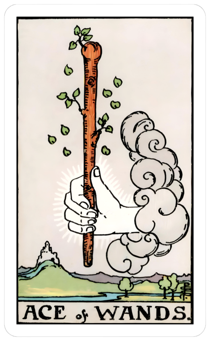 ace of wands card